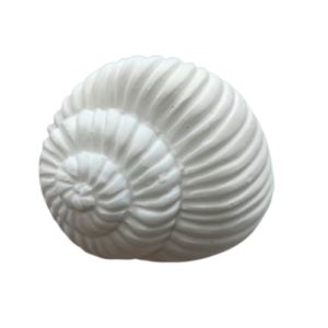 Figurine din ipsos pentru pictat, Scoica spiralata nr. 1 8/7cm