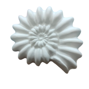 Figurine din ipsos pentru pictat, Scoica spiralata nr. 2 11/9cm