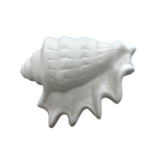 Figurine din ipsos pentru pictat, Scoica nr. 8 11.5/9cm