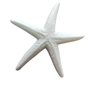 Figurina din ipsos pentru pictat, Stea de mare nr. 2 12/12cm