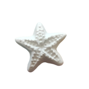Figurina din ipsos pentru pictat, Stea de mare nr. 3 7cm