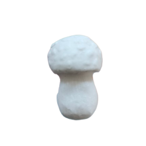 Figurine din ipsos pentru pictat, Ciuperca nr. 2 4/2.5cm