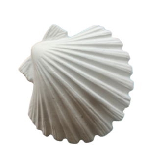 Figurine din ipsos pentru pictat, Scoica mare nr. 5 11/12cm