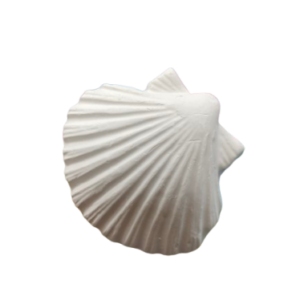 Figurine din ipsos pentru pictat, Scoica nr. 4 7/7.5cm