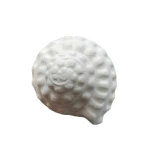 Figurine din ipsos pentru pictat, Scoica nr. 5 8/7cm