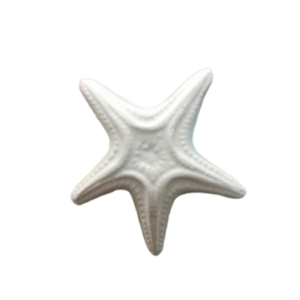 Figurine din ipsos pentru pictat, Stea de mare nr. 1 8cm